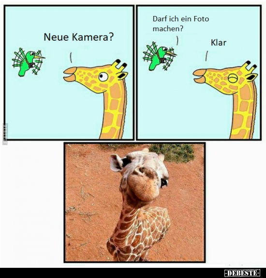 Neue Kamera? Darf ich ein Foto machen?..