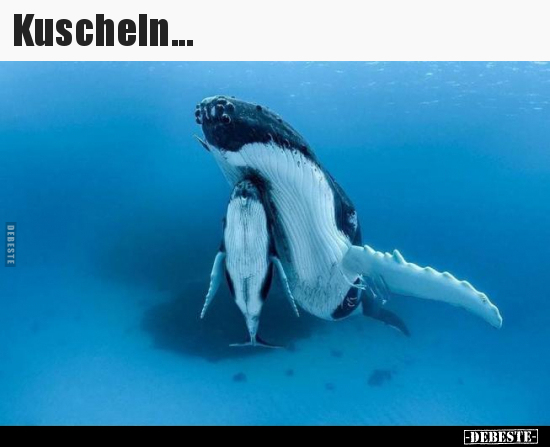 Kuscheln...