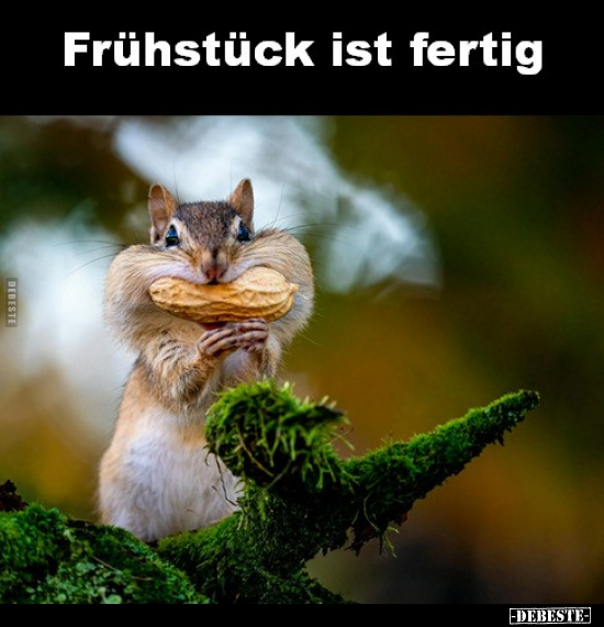 Frühstück ist fertig... - Lustige Bilder | DEBESTE.de