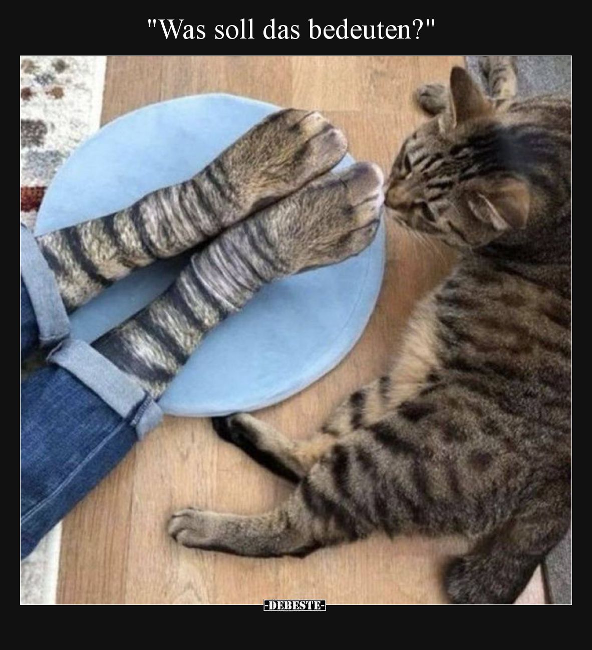 Was soll das bedeuten?