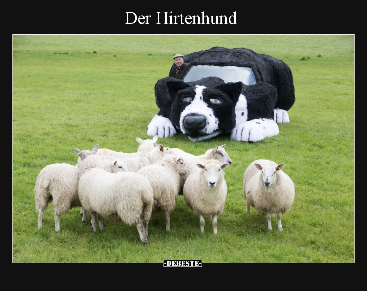 Der Hirtenhund
