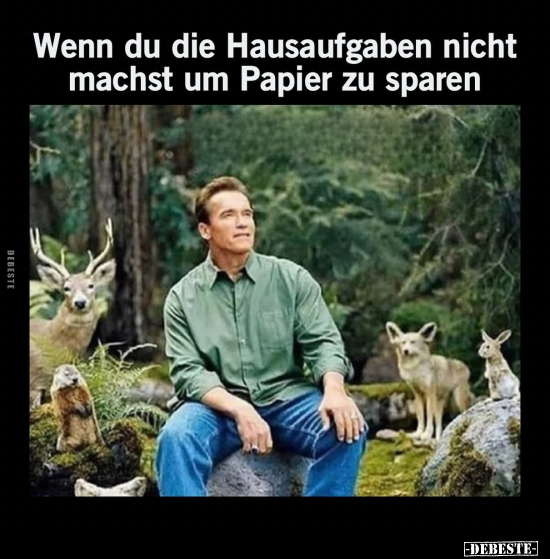 Wenn du die Hausaufgaben nicht machst um Papier zu.. - Lustige Bilder | DEBESTE.de