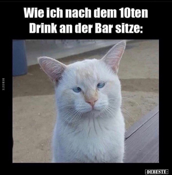 Wie Ich nach dem 10ten Drink an der Bar sitze.. - Lustige Bilder | DEBESTE.de