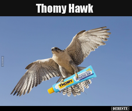 Thomy Hawk..