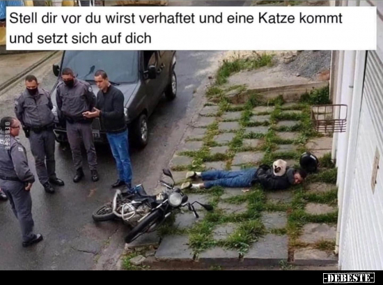 Stell dir vor du wirst verhaftet und eine Katze kommt und.. - Lustige Bilder | DEBESTE.de