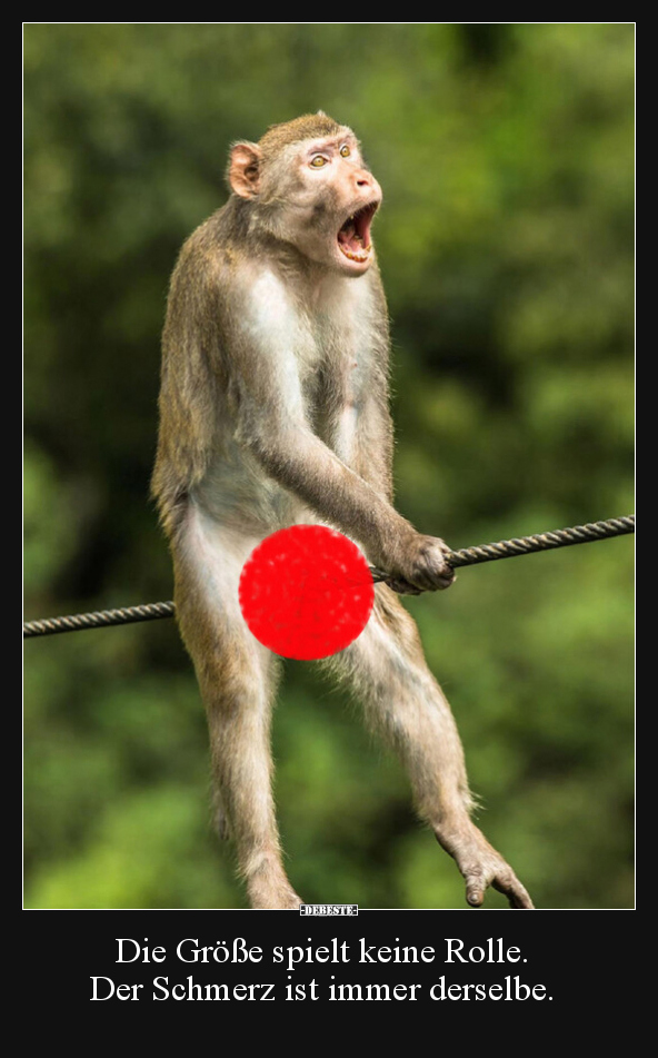 Die Größe spielt keine Rolle. Der Schmerz ist immer derselbe.