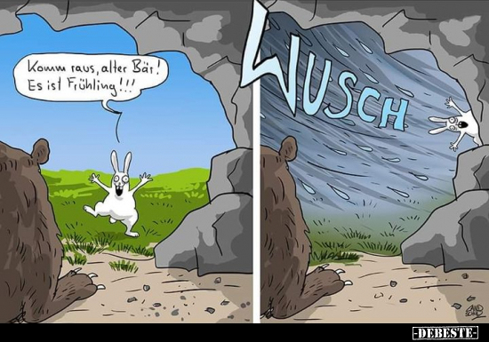 Komm raus, alter Bär! Es ist Frühling!!!.. - Lustige Bilder | DEBESTE.de