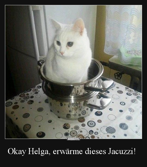 Okay Helga, erwärme dieses Jacuzzi! - Lustige Bilder | DEBESTE.de