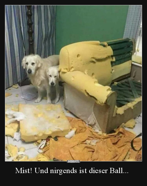 Mist! Und nirgends ist dieser Ball...