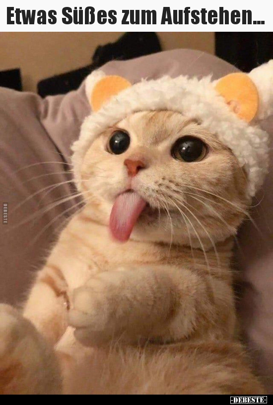 Etwas Süßes zum Aufstehen...