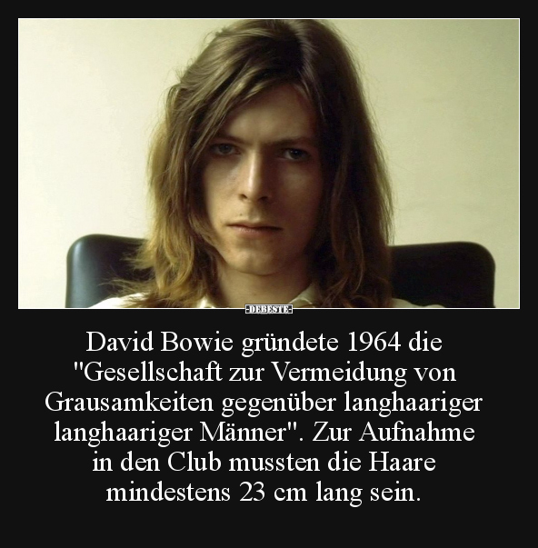 David Bowie gründete 1964 die "Gesellschaft zur.." - Lustige Bilder | DEBESTE.de