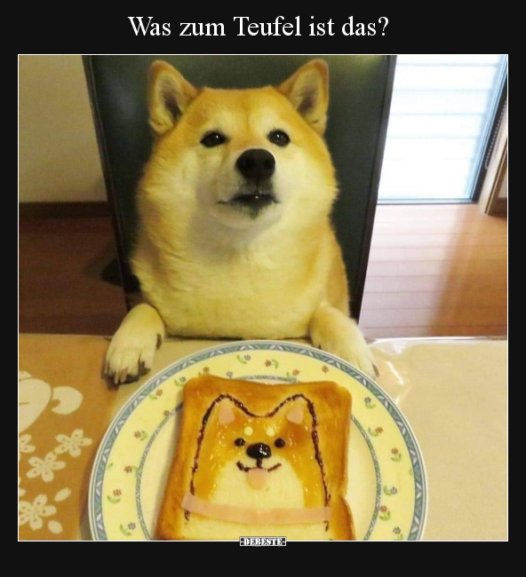 Hunde