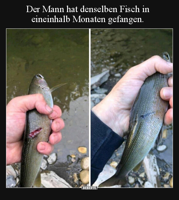 Der Mann hat denselben Fisch in eineinhalb Monaten.. - Lustige Bilder | DEBESTE.de