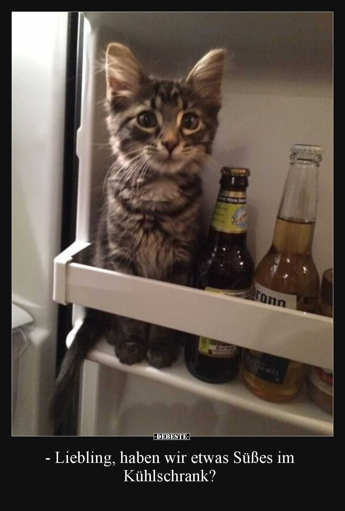 - Liebling, haben wir etwas Süßes im Kühlschrank?