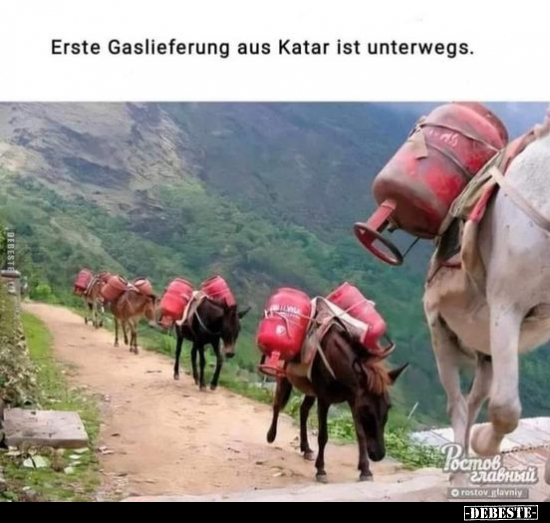 Erste Gaslieferung aus Katar ist unterwegs... - Lustige Bilder | DEBESTE.de