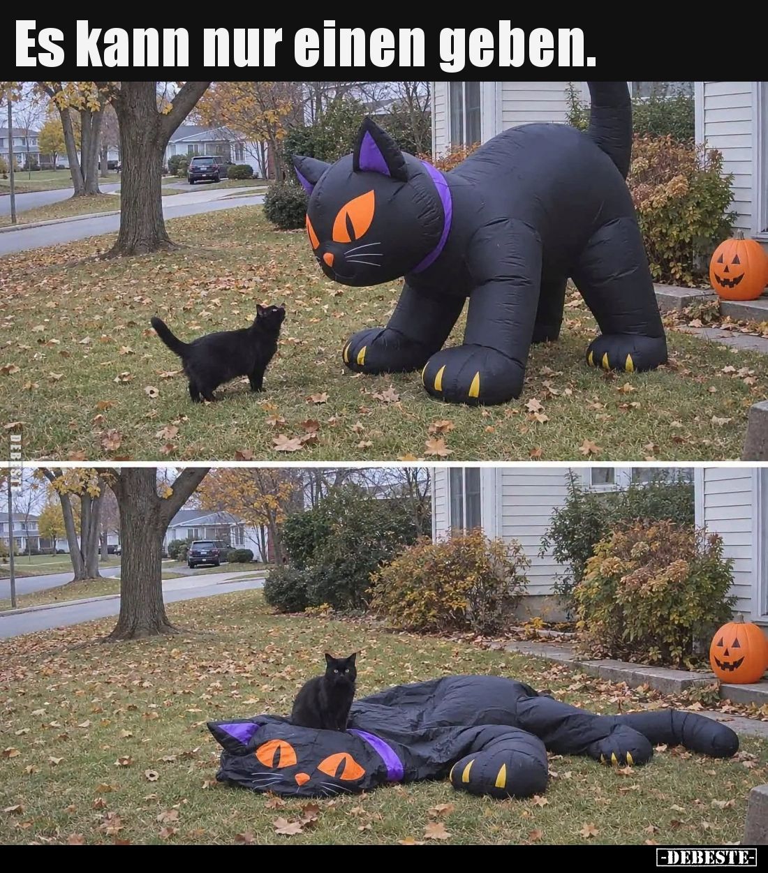 Es kann nur einen geben.