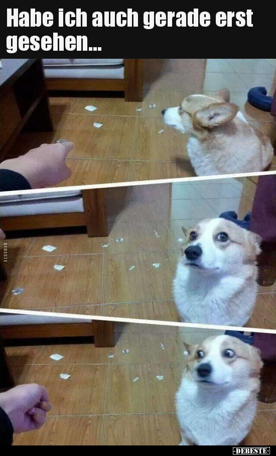 Habe ich auch gerade erst gesehen...