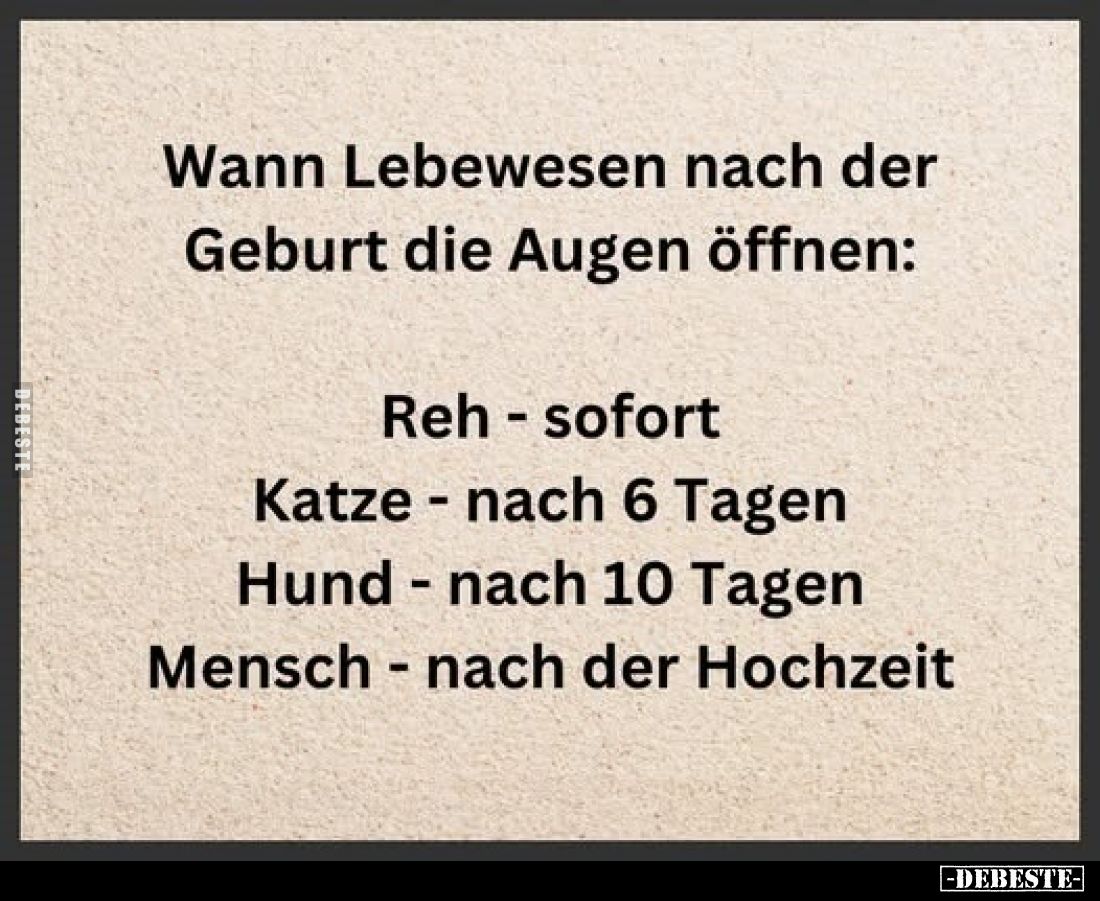 Wann Lebewesen nach der Geburt die Augen öffnen:
Reh - sofort
Katze - nach 6 Tagen
Hund - nach 10 Tagen
Mensch - nach der...