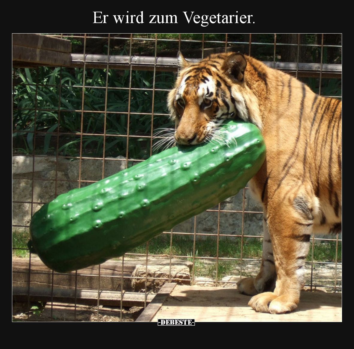 Er wird zum Vegetarier.