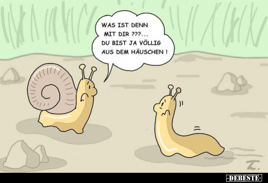 Was ist denn mit dir ???... du bist ja völlig aus dem Häuschen!