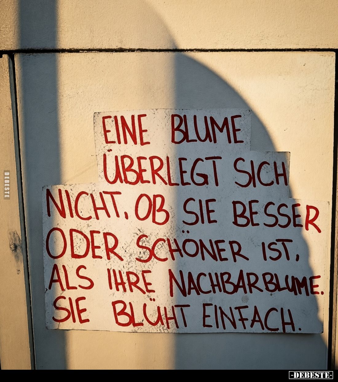 Eine Blume überlegt sich nicht, ob sie besser oder schöner ist, als ihre Nachbar Blume. Sie blüht einfach.