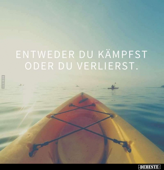 Entweder du kämpfst oder du verlierst.
