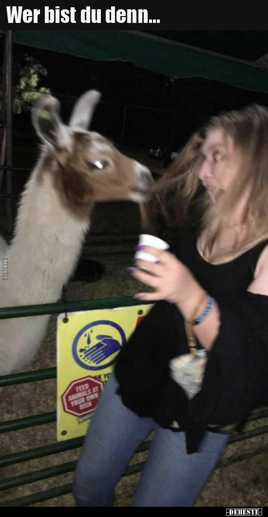Wer bist du denn...