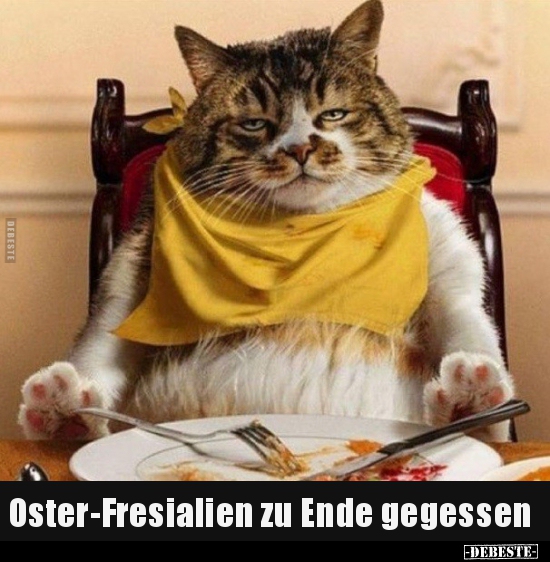 Oster-Fresialien zu Ende gegessen.. - Lustige Bilder | DEBESTE.de