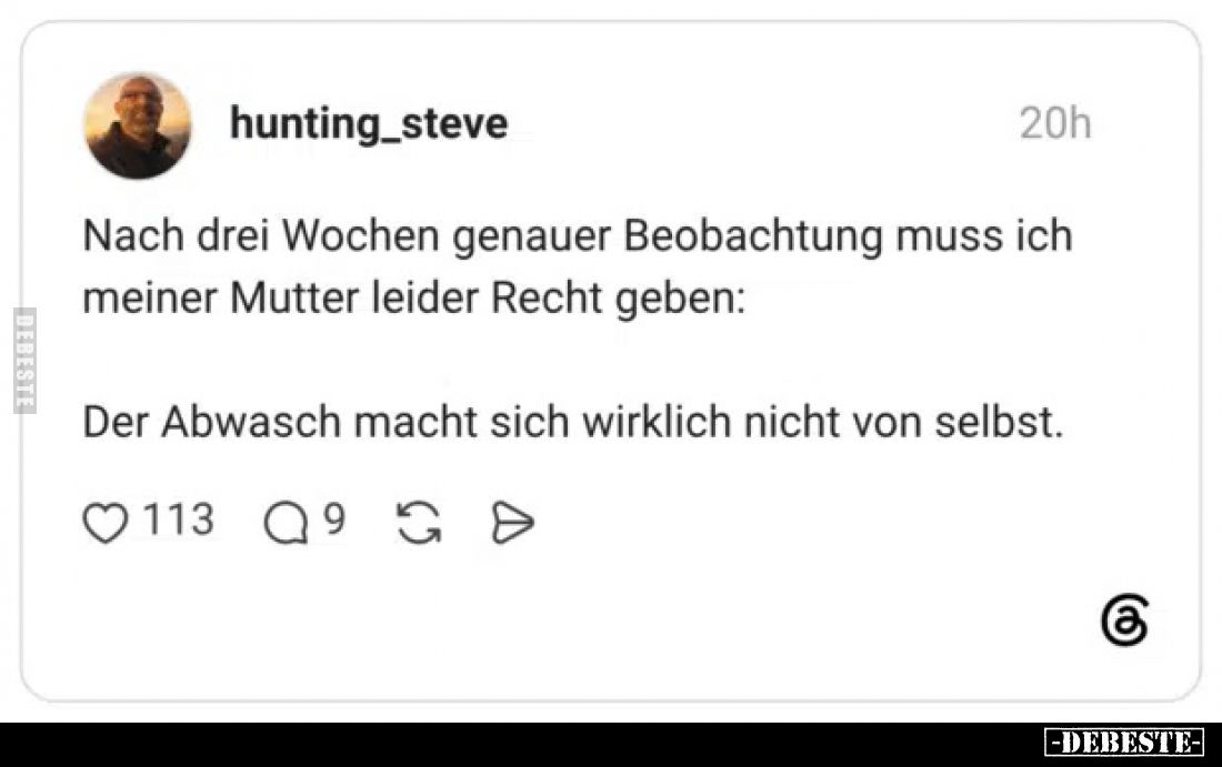 Nach drei Wochen genauer Beobachtung muss ich meiner Mutter leider Recht geben:
Der Abwasch macht sich wirklich nicht von se...