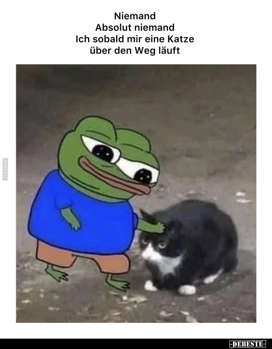 Katze, Läuft