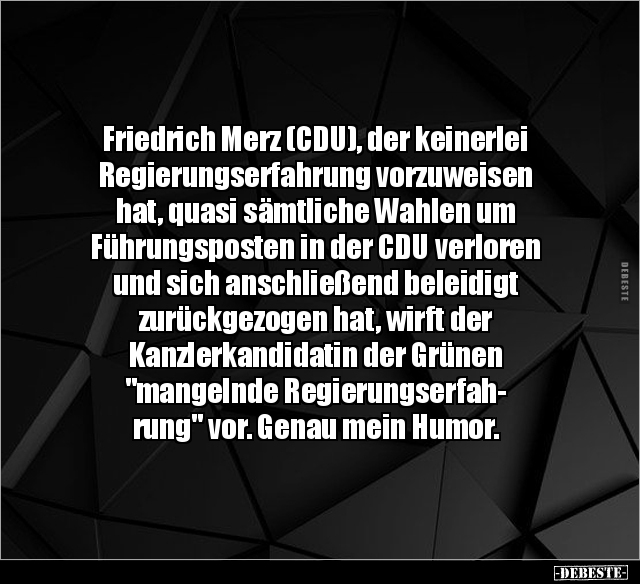 Friedrich Merz (CDU), der keinerlei Regierungserfahrung.. - Lustige Bilder | DEBESTE.de