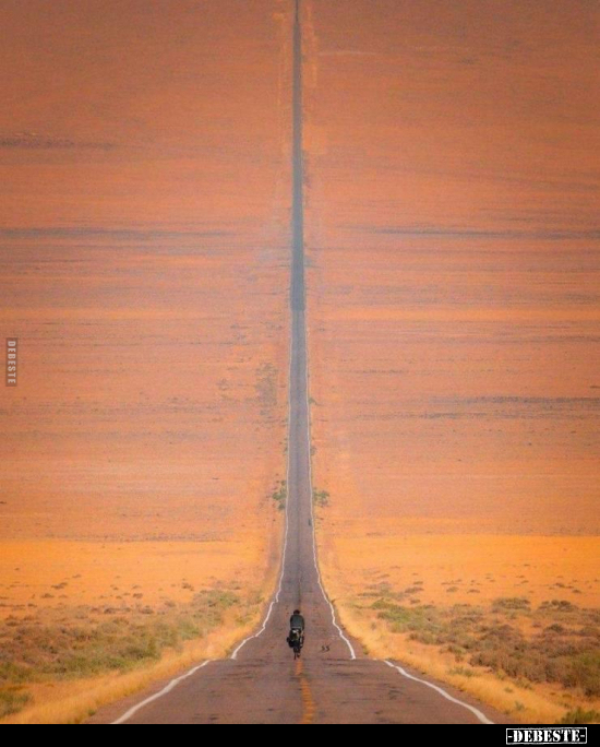  - Lustige Bilder | DEBESTE.de