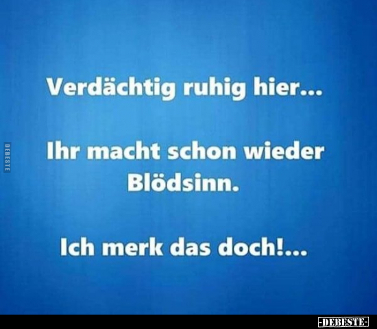 Verdächtig ruhig hier... Ihr macht schon wieder Blödsinn... - Lustige Bilder | DEBESTE.de