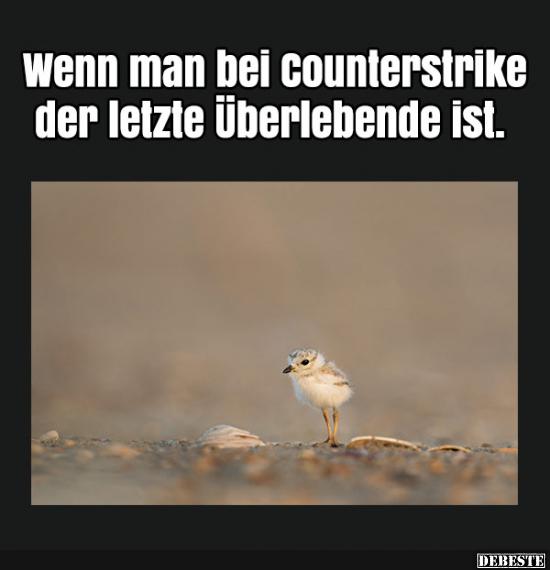 Wenn man bei counterstrike der letzte überlebende ist..