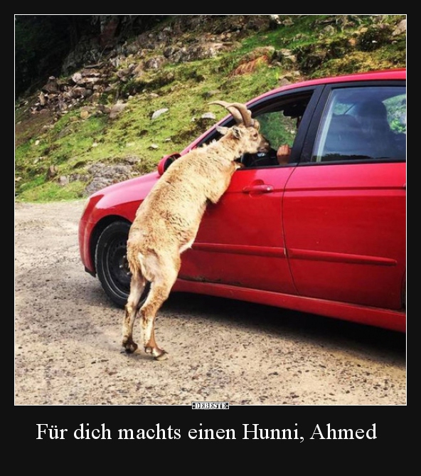 Für dich machts einen Hunni, Ahmed.. - Lustige Bilder | DEBESTE.de