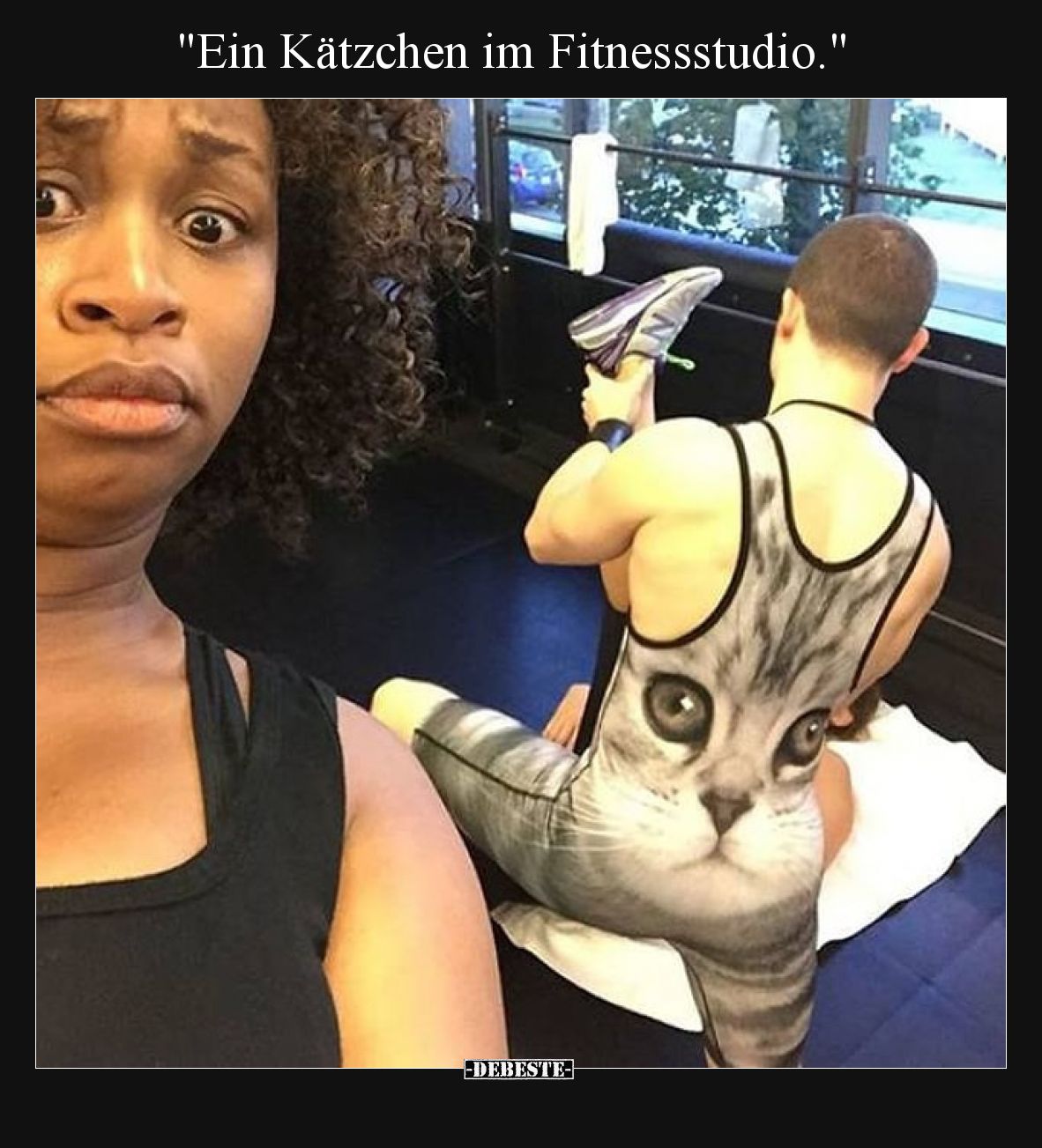 "Ein Kätzchen im Fitnessstudio.".. - Lustige Bilder | DEBESTE.de