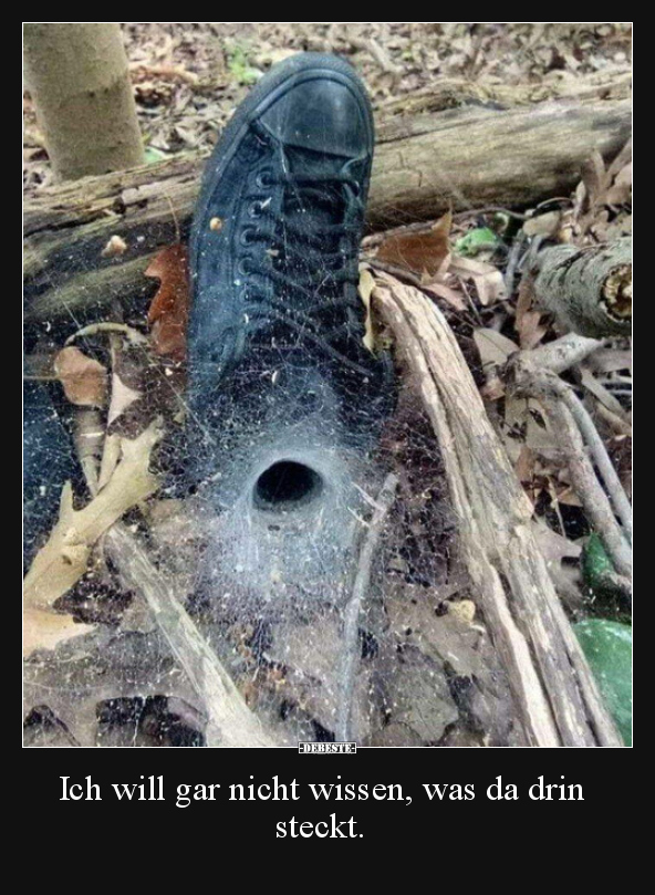 Ich will gar nicht wissen, was da drin steckt...