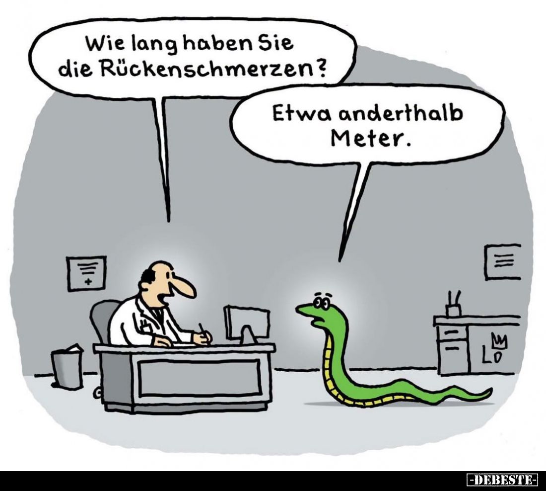 Wie lang haben Sie die Rückenschmerzen?
-
Etwa anderthalb Meter.