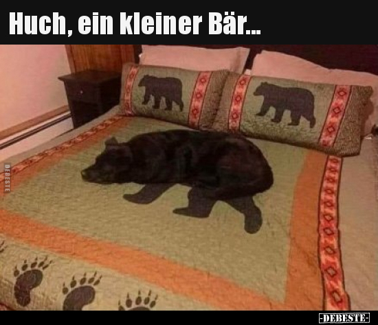 Huch, ein kleiner Bär... - Lustige Bilder | DEBESTE.de