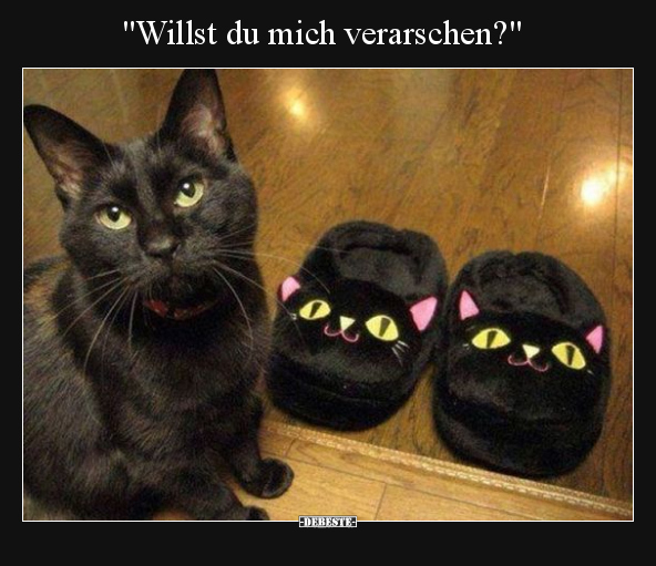 "Willst du mich verarschen?"