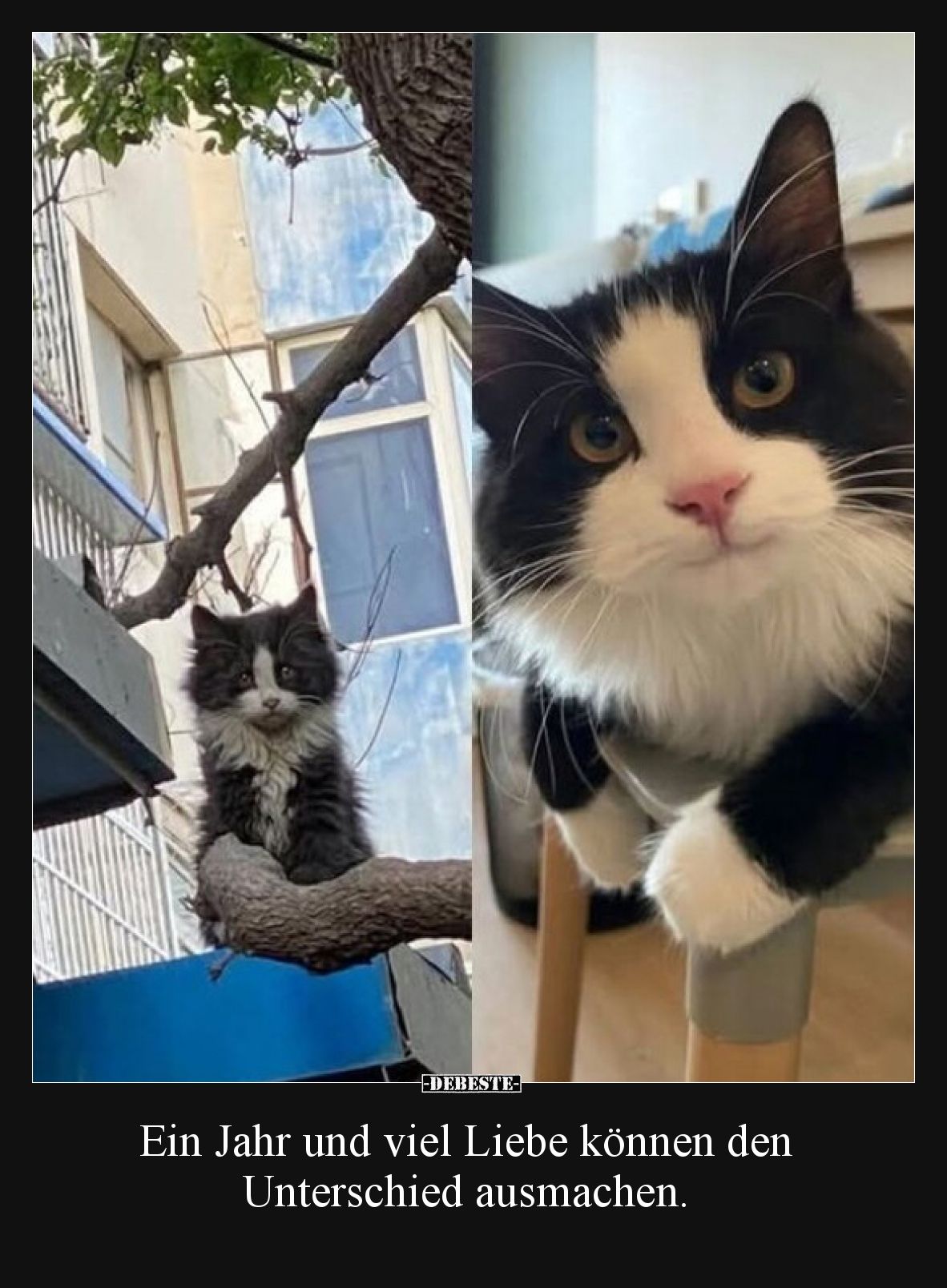 Ein Jahr und viel Liebe können den Unterschied ausmachen.