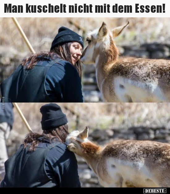 Man kuschelt nicht mit dem Essen!..