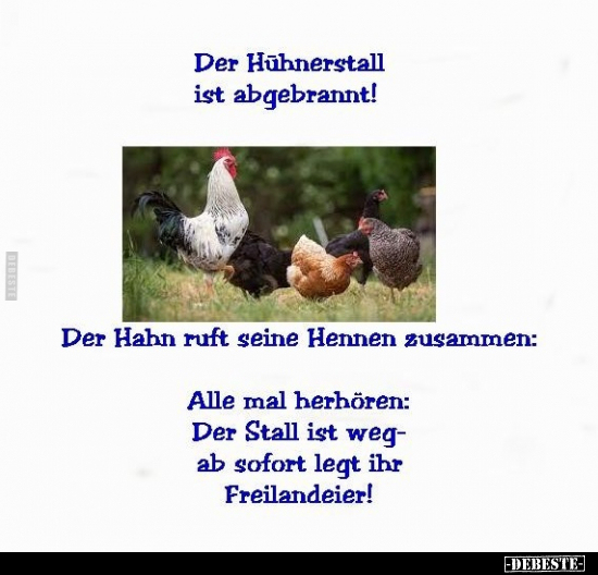Der Hühnerstall ist abgebrannt!.. - Lustige Bilder | DEBESTE.de