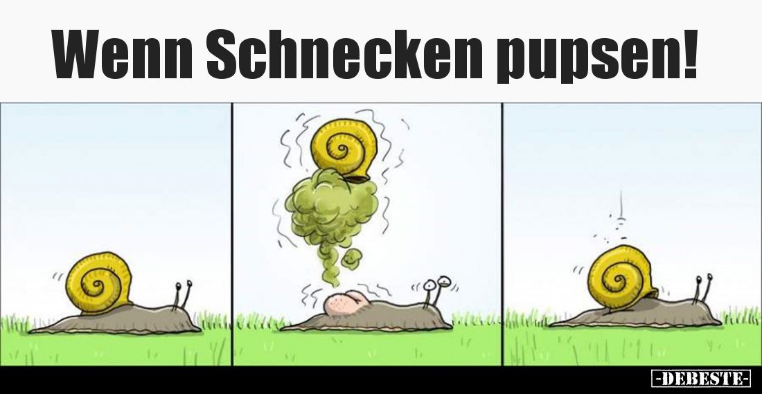 Wenn Schnecken pupsen!