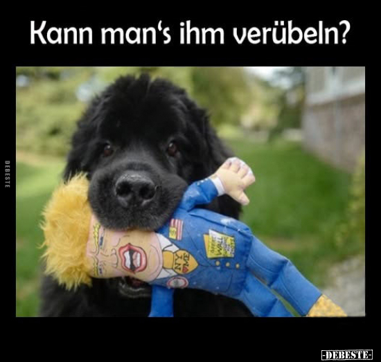 Kann man's ihm verübeln?