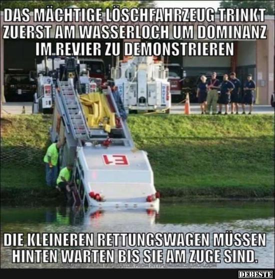 Das mächtige Löschfahrzeug trinkt zuerst am Wasserloch.. - Lustige Bilder | DEBESTE.de