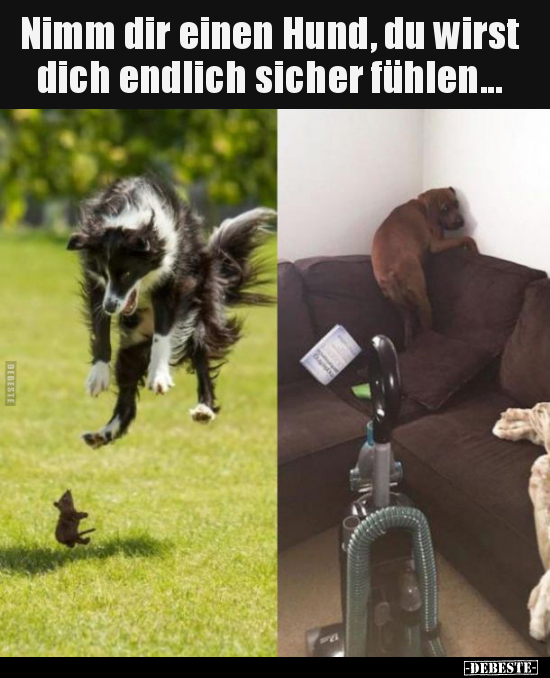 Nimm dir einen Hund, du wirst dich endlich sicher.. - Lustige Bilder | DEBESTE.de