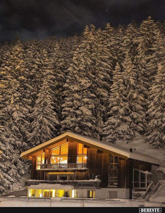 Sieht gemütlich aus...