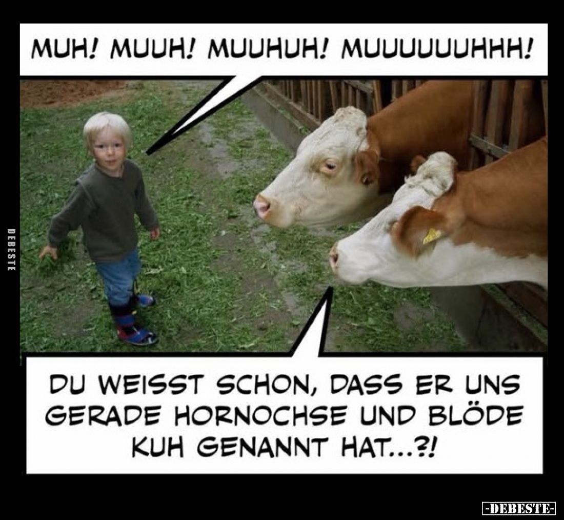 Muh! Muuh! Muuhuh! Muuuuuuhhh!
-
Du weißt schon, dass er uns gerade Hornochse und blöde Kuh genannt hat...?!