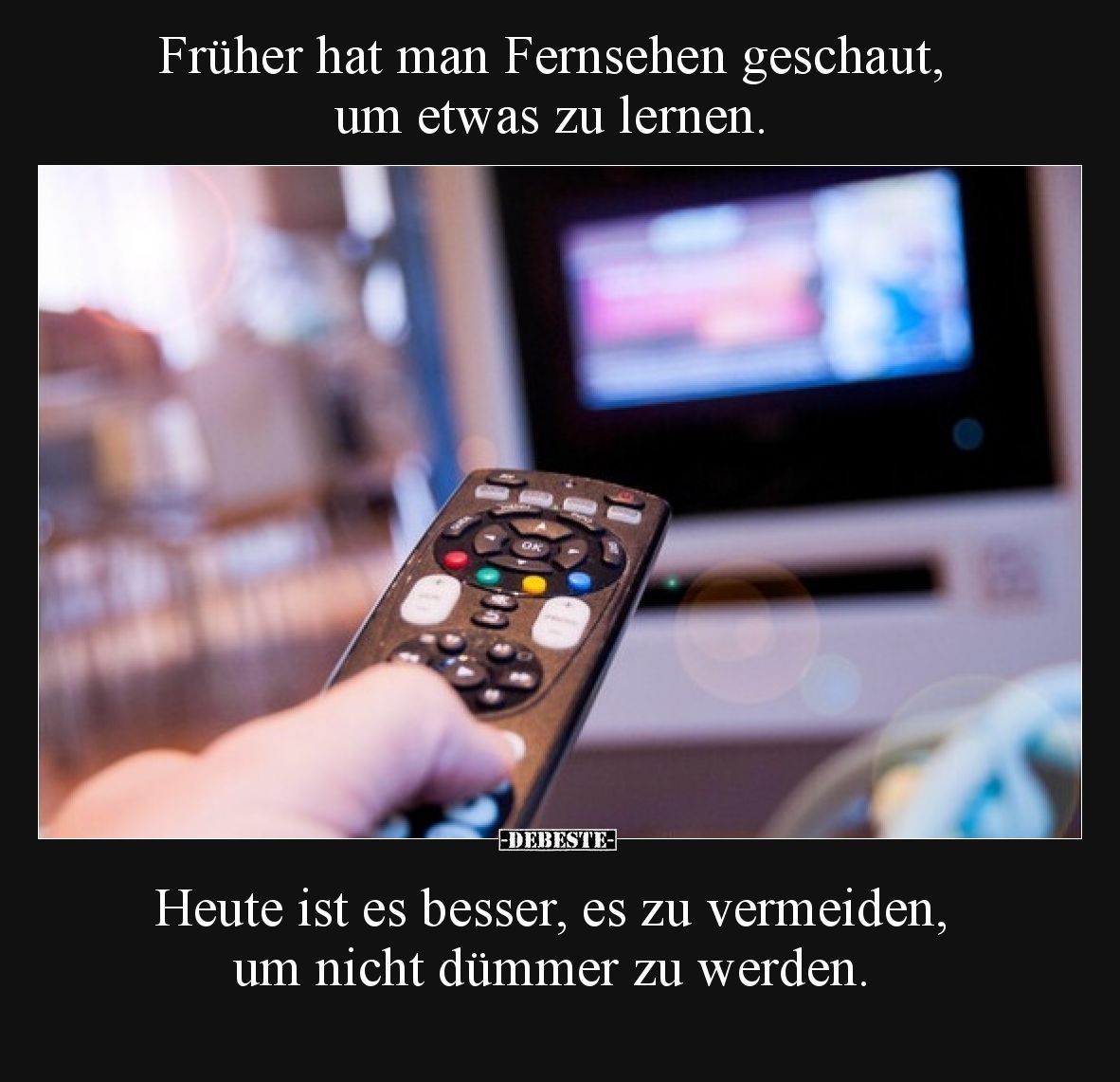 Früher hat man Fernsehen geschaut, um etwas zu lernen... - Lustige Bilder | DEBESTE.de